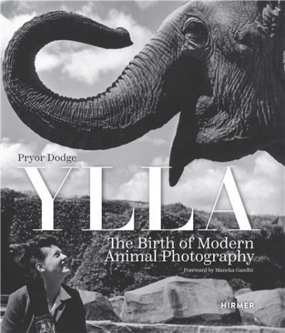 Ylla – The birth of modern animal potography