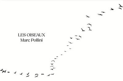 Pollini – Les Oiseaux