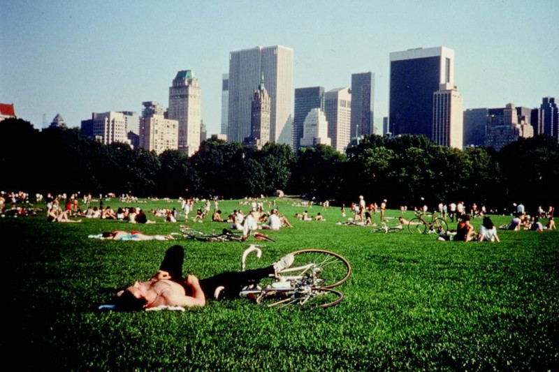 Projection du film <em>Central Park</em>, de Frederick Wiseman