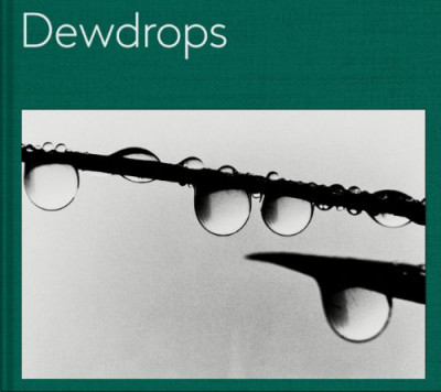 Fuchs – Dewdrops