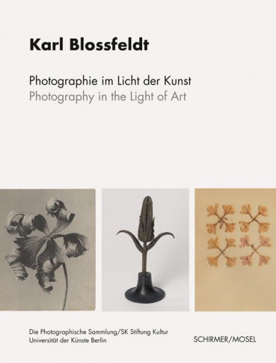 Blossfeldt – Photography in the light of art