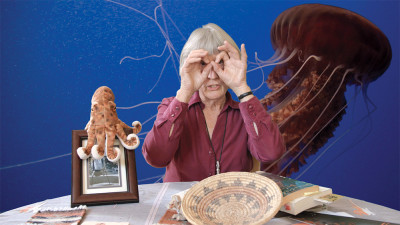 Projection <em>Donna Haraway: Story Telling for Earthly Survival</em>