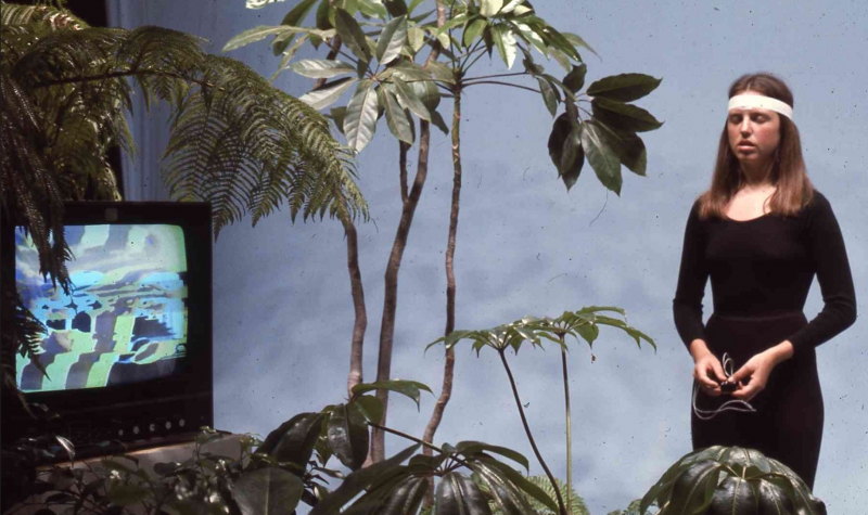 Conférence de Teresa Castro « Les plantes sentent-elles ? La folie des plantes des années 1970 »